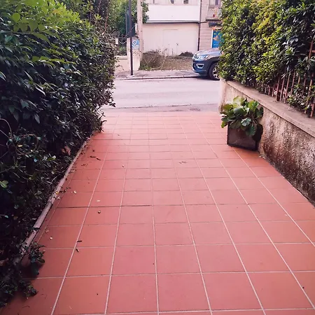 Samy Prázdninový dům *